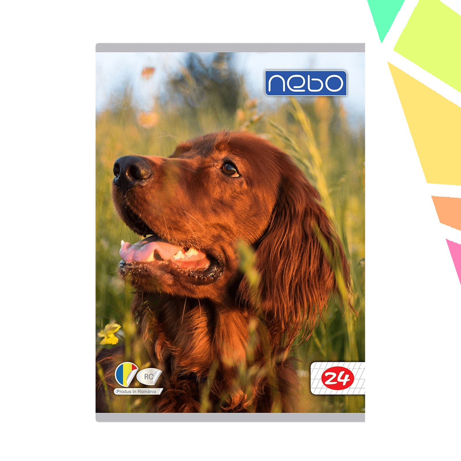 Caiet A5 tip I 24 file - NEBO - imagine 1